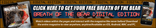 Travel Guide Breath of the Bear Digital Edition